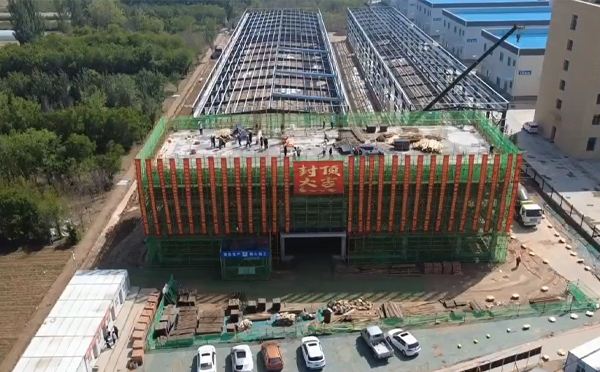 工期缩短20%：卓尼卓尼钢结构安装高空焊接工艺要点